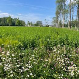 Création d’une fondation chargée de la qualité de vie des riverains aux abords de VDL Nedcar